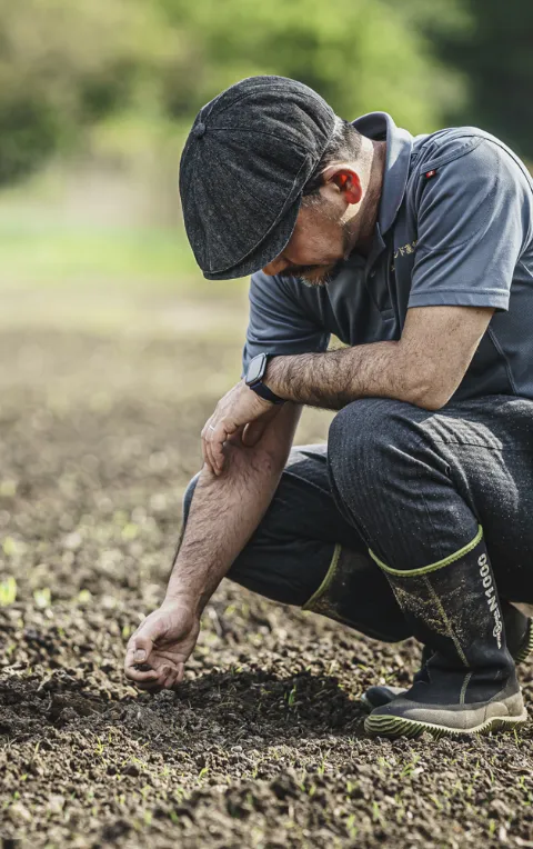 相馬市玉野の土壌