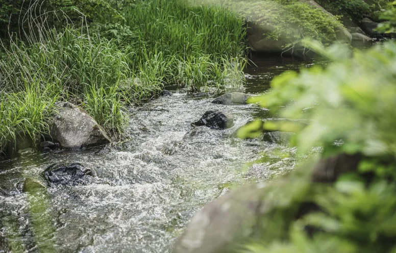 相馬市玉野を流れる清流