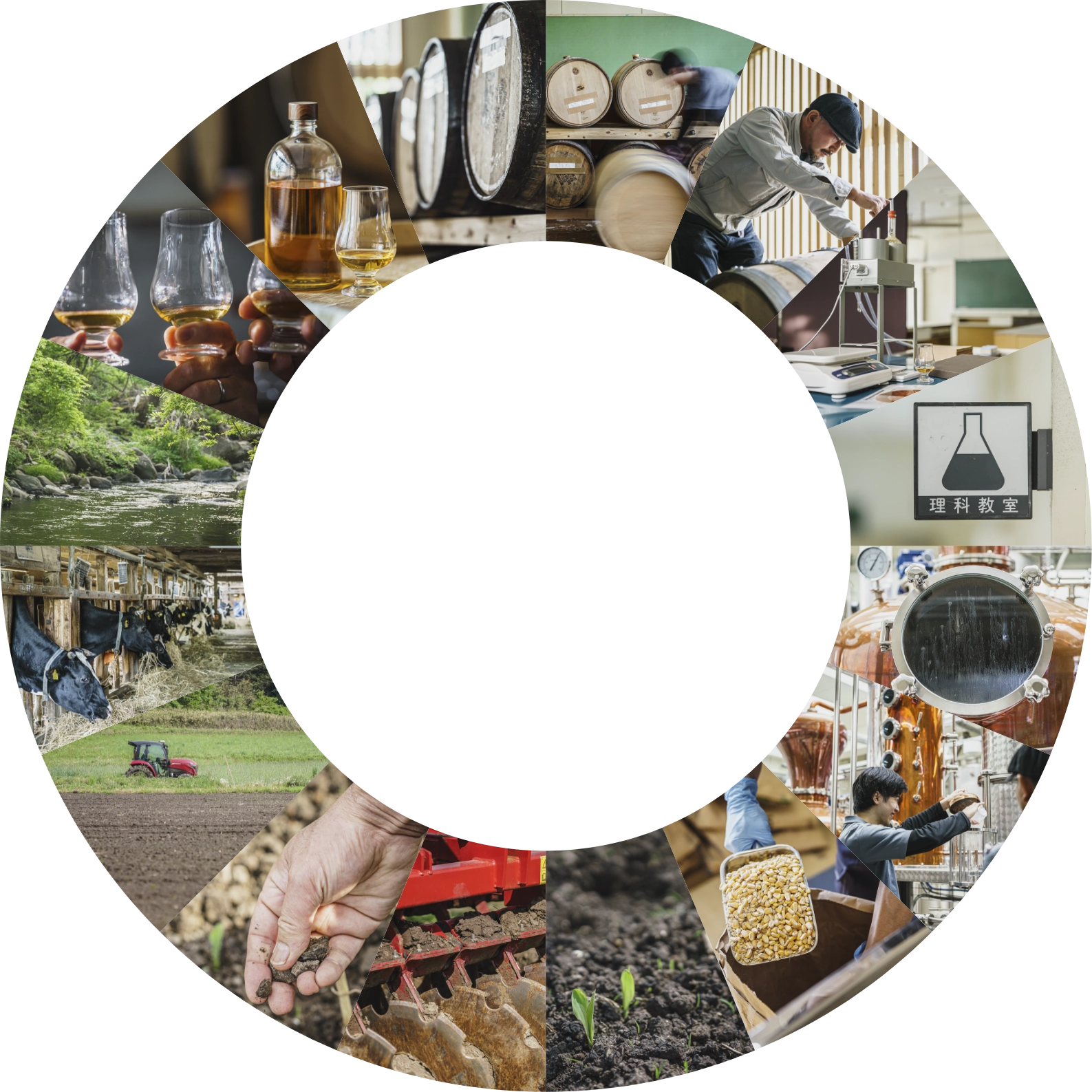 株式会社CTIの理念を表す環