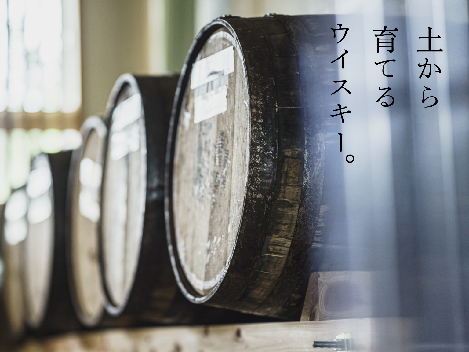 土から育てる